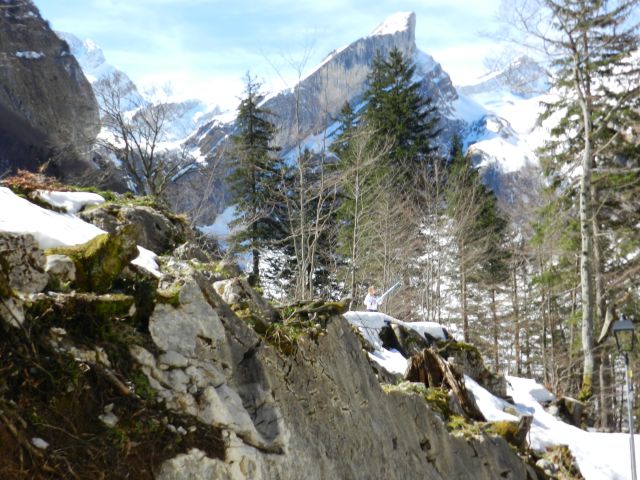DSCN2869