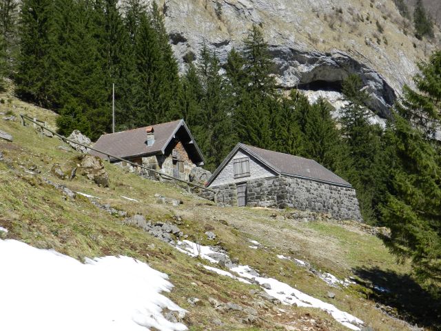 DSCN2883