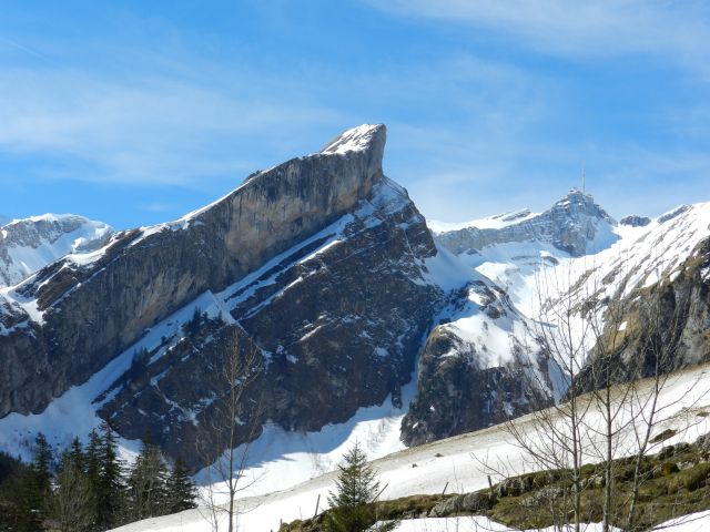 DSCN2865