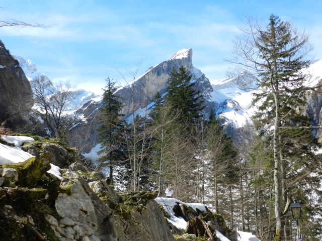 DSCN2870