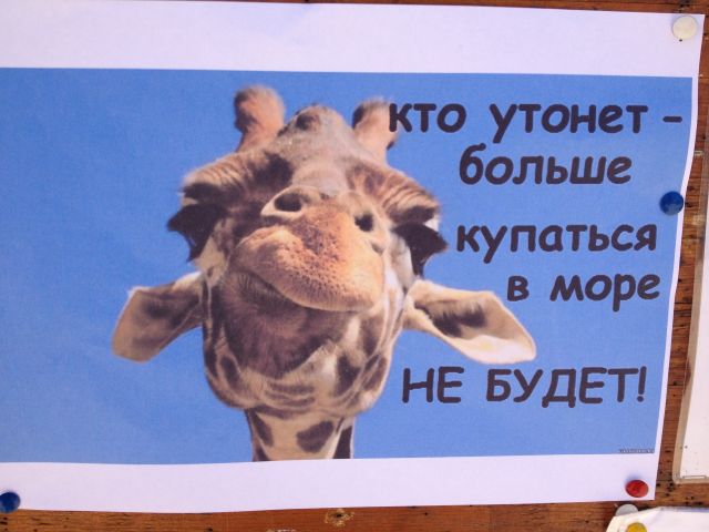 Плакат около столовой;)