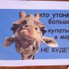 Плакат около столовой;)