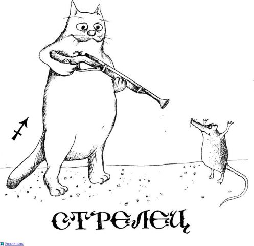 стрелец