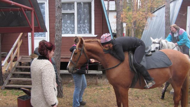 IMG 1003