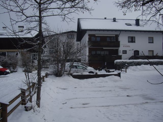 IMGP5288