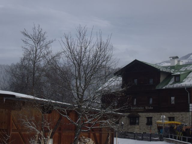 IMGP5295