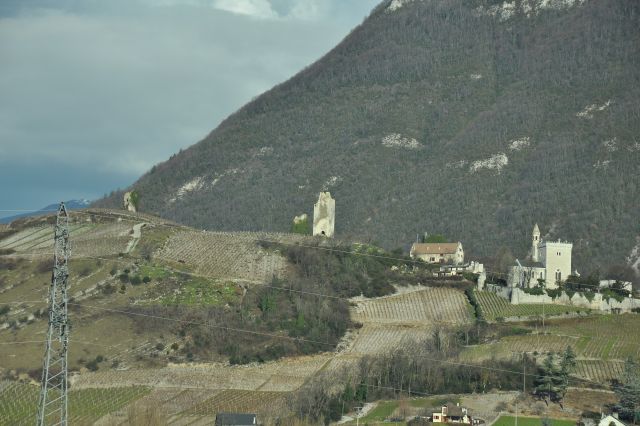 DSC 0039