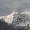 IMG 0180
