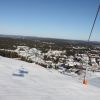 IMG 5467