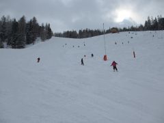 IMG 1818