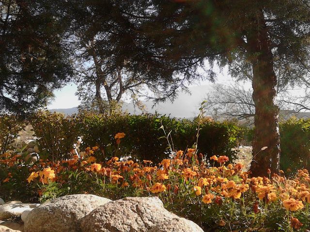 В дымке снежные вершины