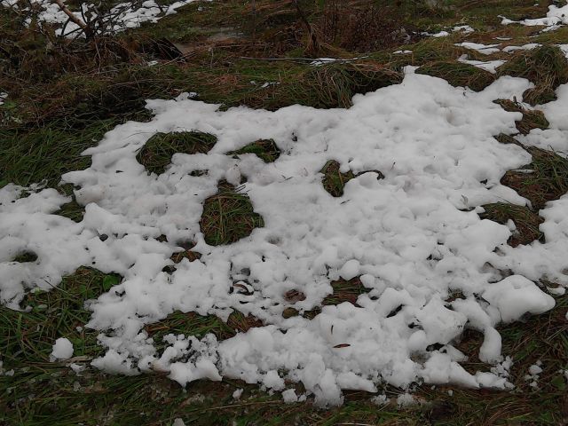Первый снег