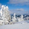 Тростян Тростян