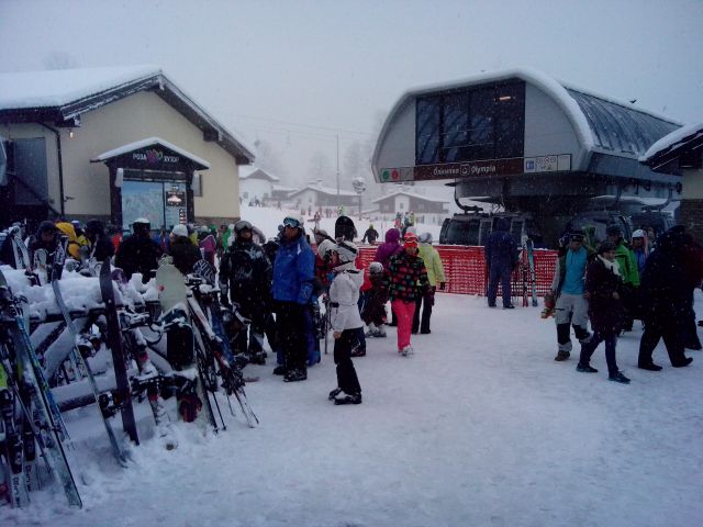 IMG 20141230 110651