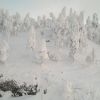 2014 12 07 5123