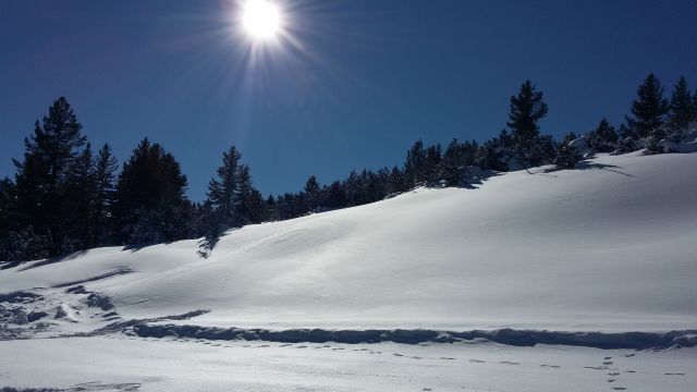 снежок