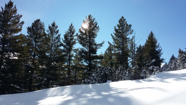 20150102 110922