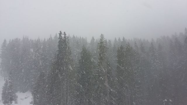 метель