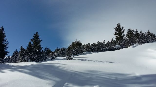 20150102 110929