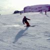 IMG 4442