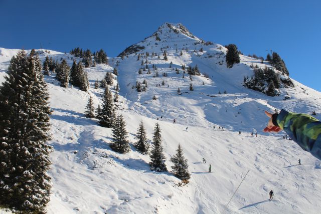 IMG 0483