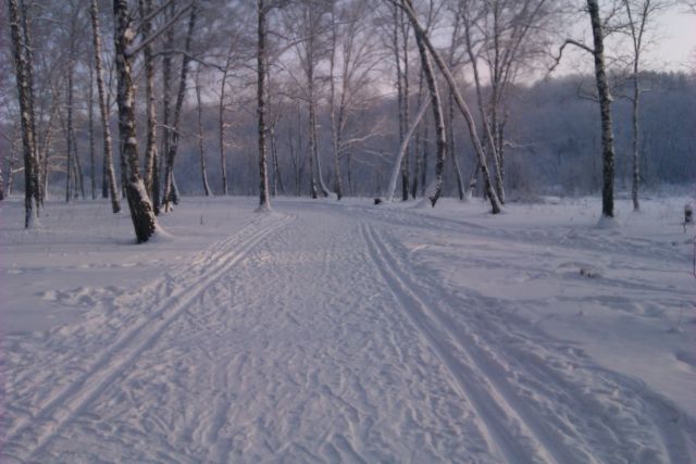 Трасса в Назарово