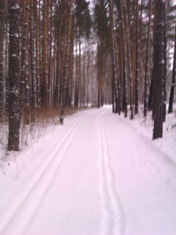 Назарово Сосняк 05.01.2015г