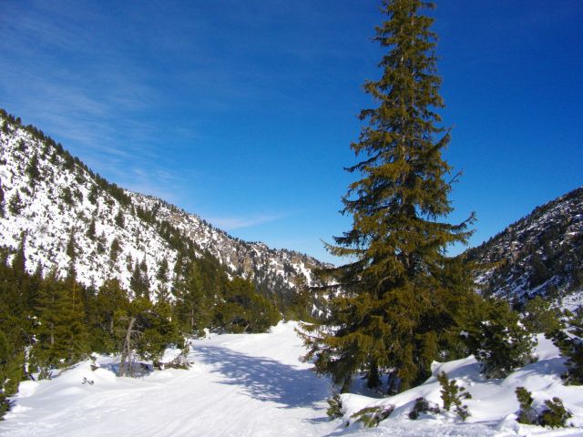 IMGP2062