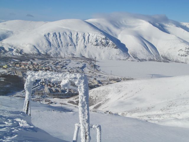 Вся Букашка.