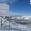 Букашка верх.