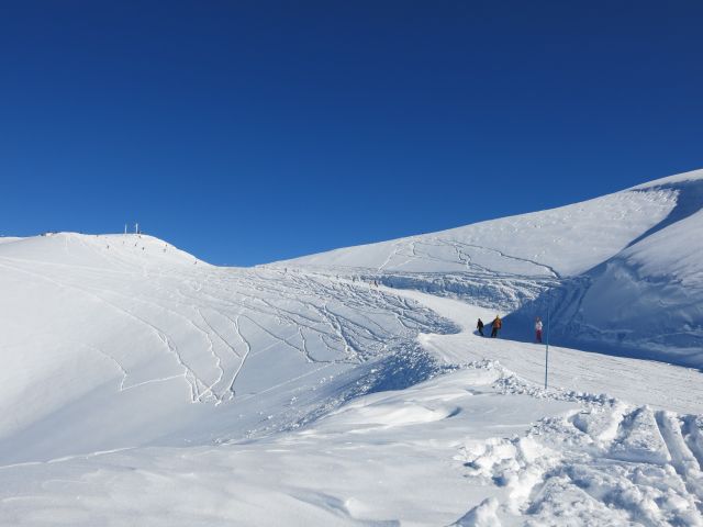 IMG 0646