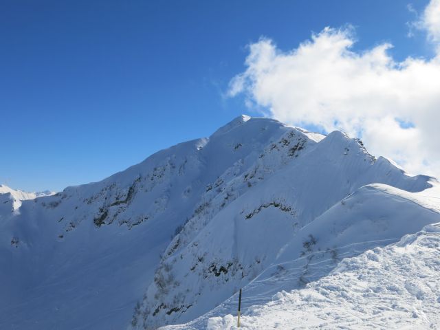IMG 0668