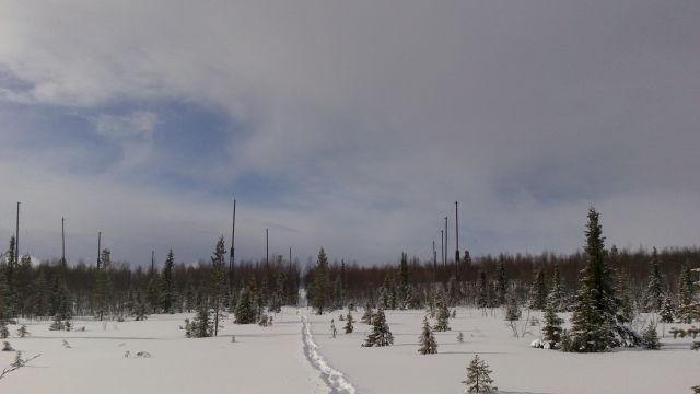 Тропа на Горку.