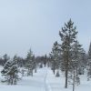 Тропа на Горку.