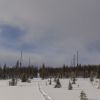 Тропа на Горку.