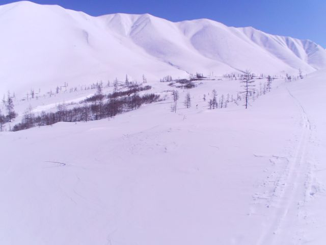 IMG00215