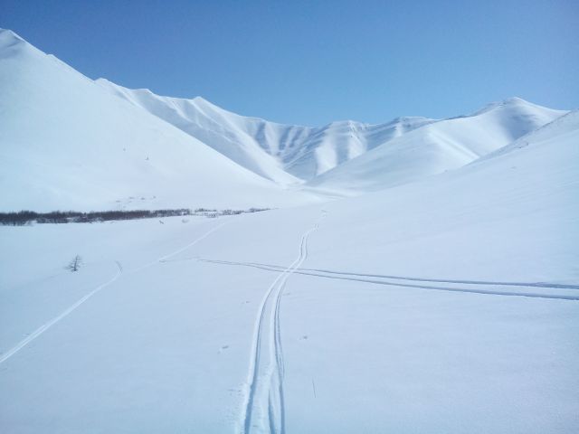 DSC 0001