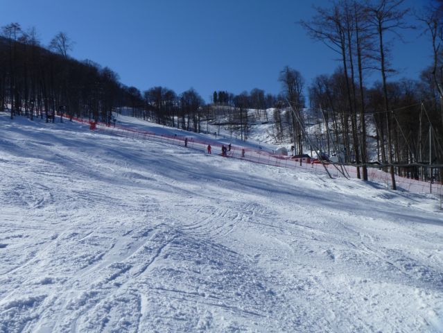 kp15_4453.JPG