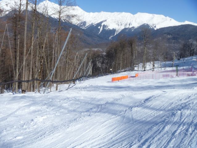 kp15_4462.JPG