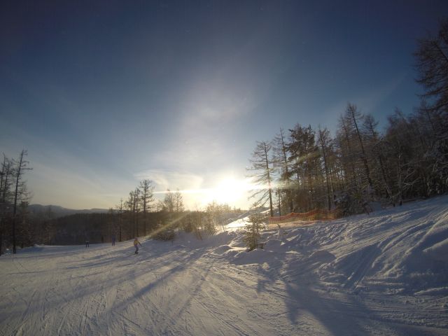 G0160268