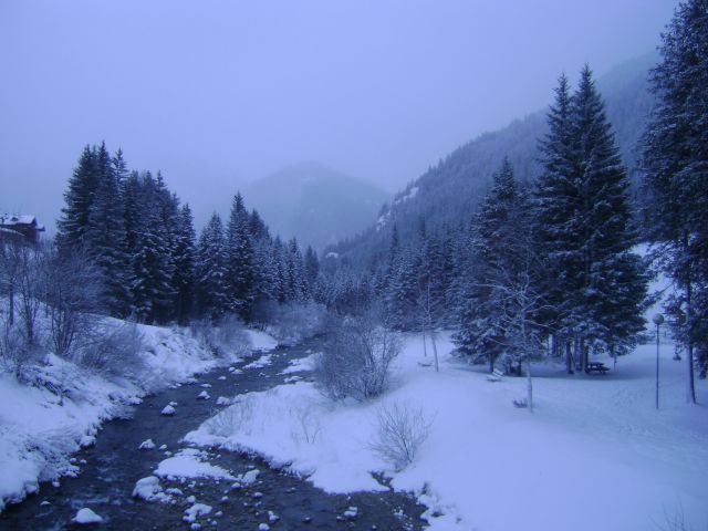 DSC09065