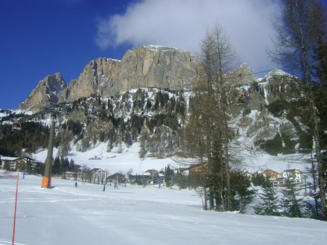 DSC08883