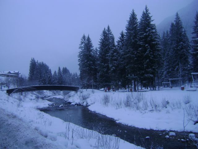 DSC09056