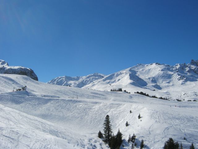 080