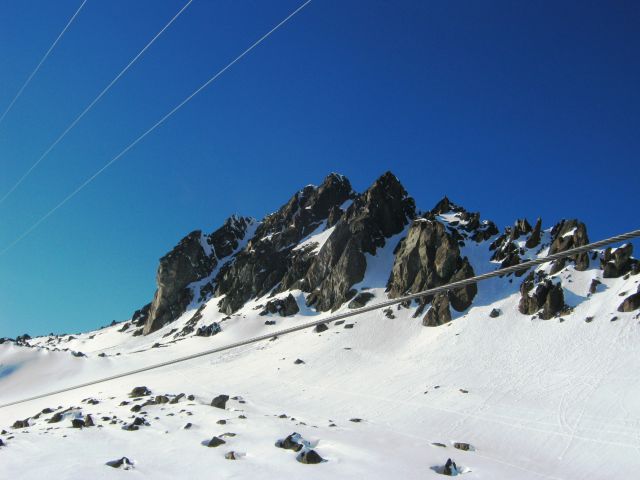 319.JPG