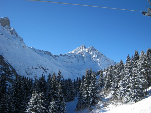 IMG_4335.jpg