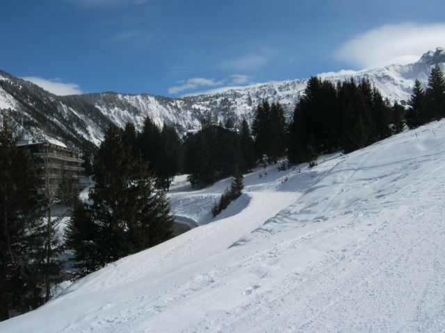 IMG 4213