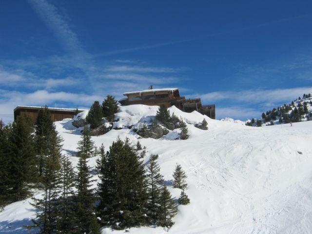 IMG 4230