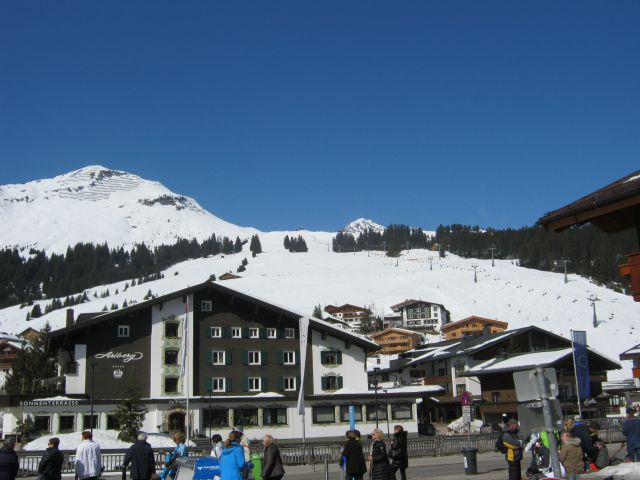 445.JPG
