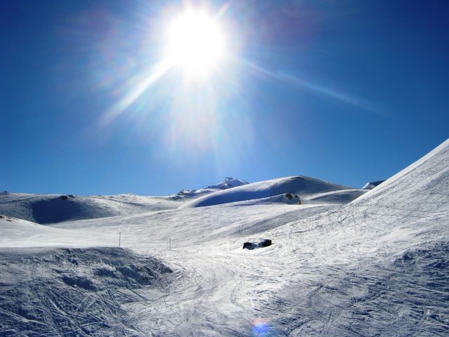 315.JPG